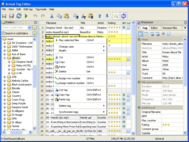 Actual Tag Editor screenshot